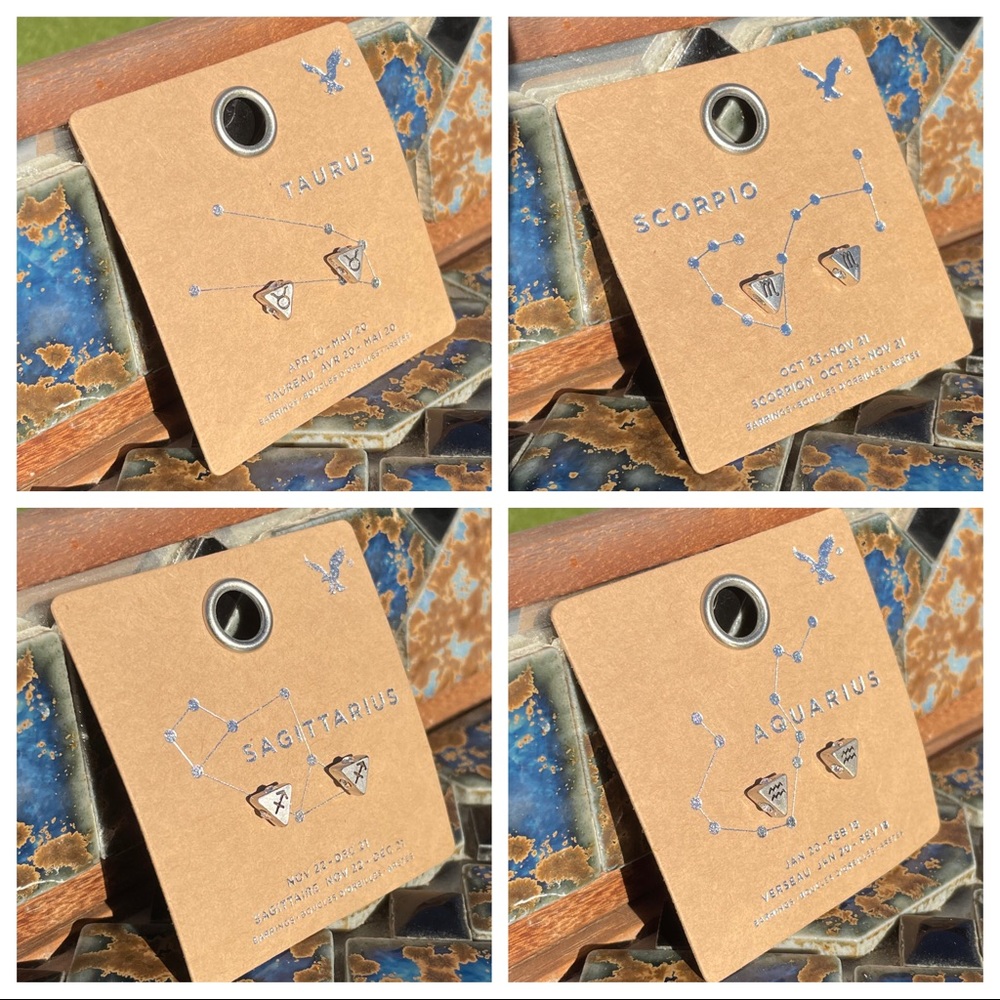 🥳HP🎉 Zodiac Stud Earrings from American Eagle